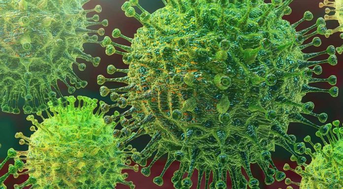 What Is Coronavirus?