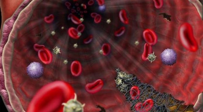 Coronavirus patients in Houston hospital becoming first in US to try experimental plasma transfusion