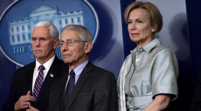 White House coronavirus task force: Avoid grocery store and pharmacy over next two weeks