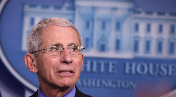 Fauci says ‘rolling reentry’ possible as soon as next month